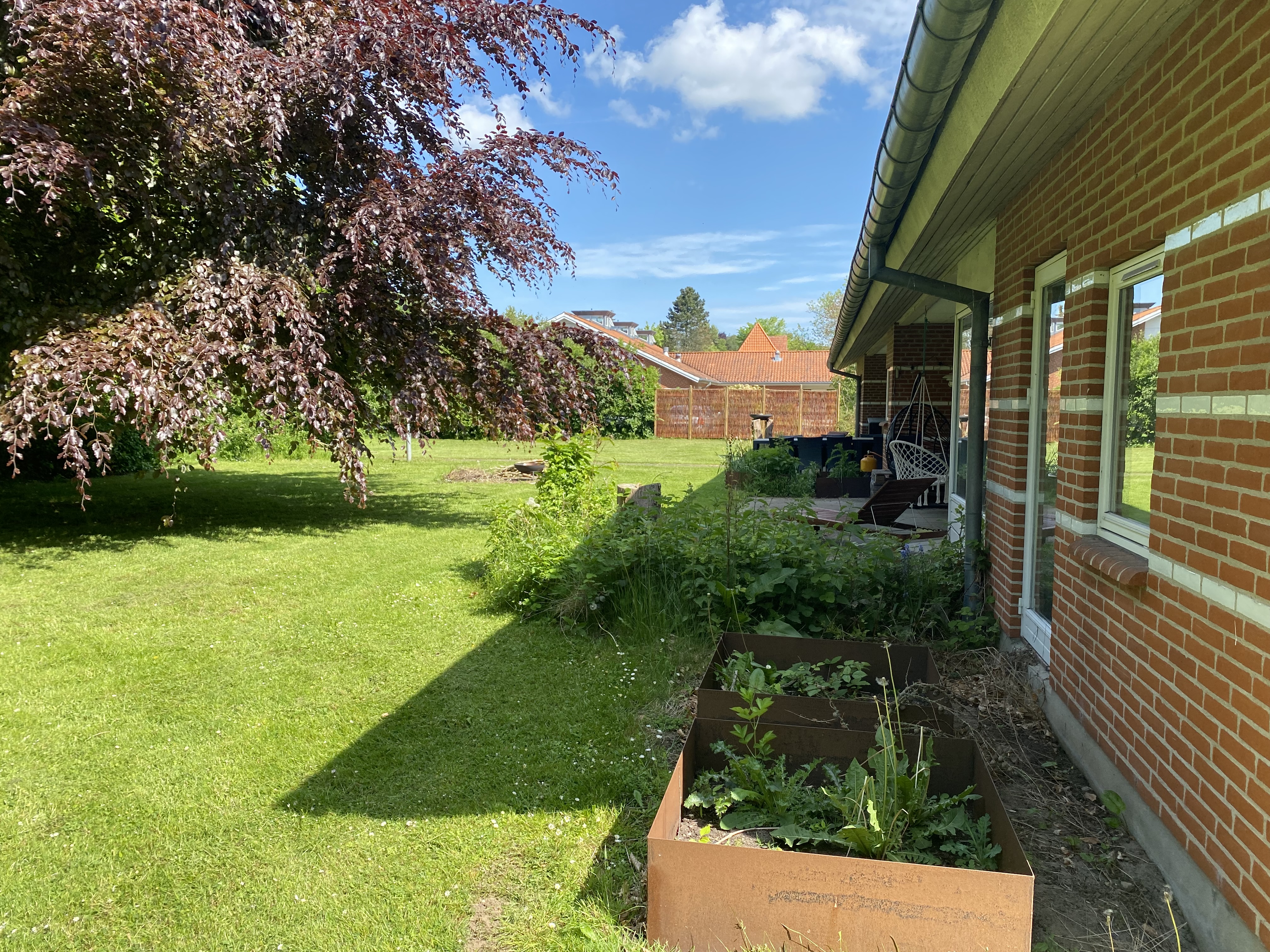 Haven i Pigernes Hus